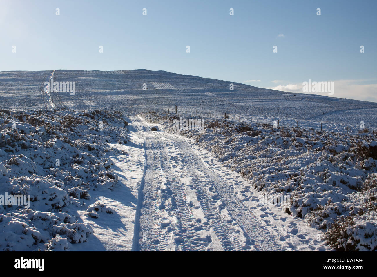 Moel y Gamelin in winter, above the town of Llangollen, Wales Stock Photo