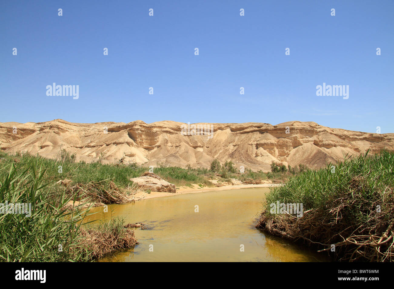 Israel, Negev, Ein Zin in Wadi Zin Stock Photo