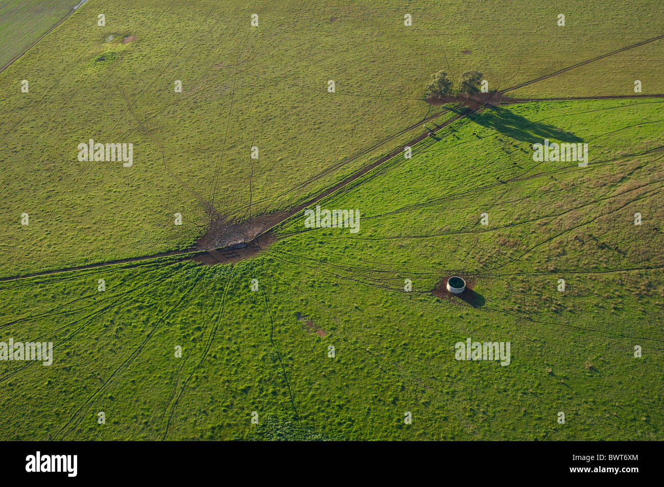 Aerial view of cattle farm Hunter Valley NSW Australia Stock Photo