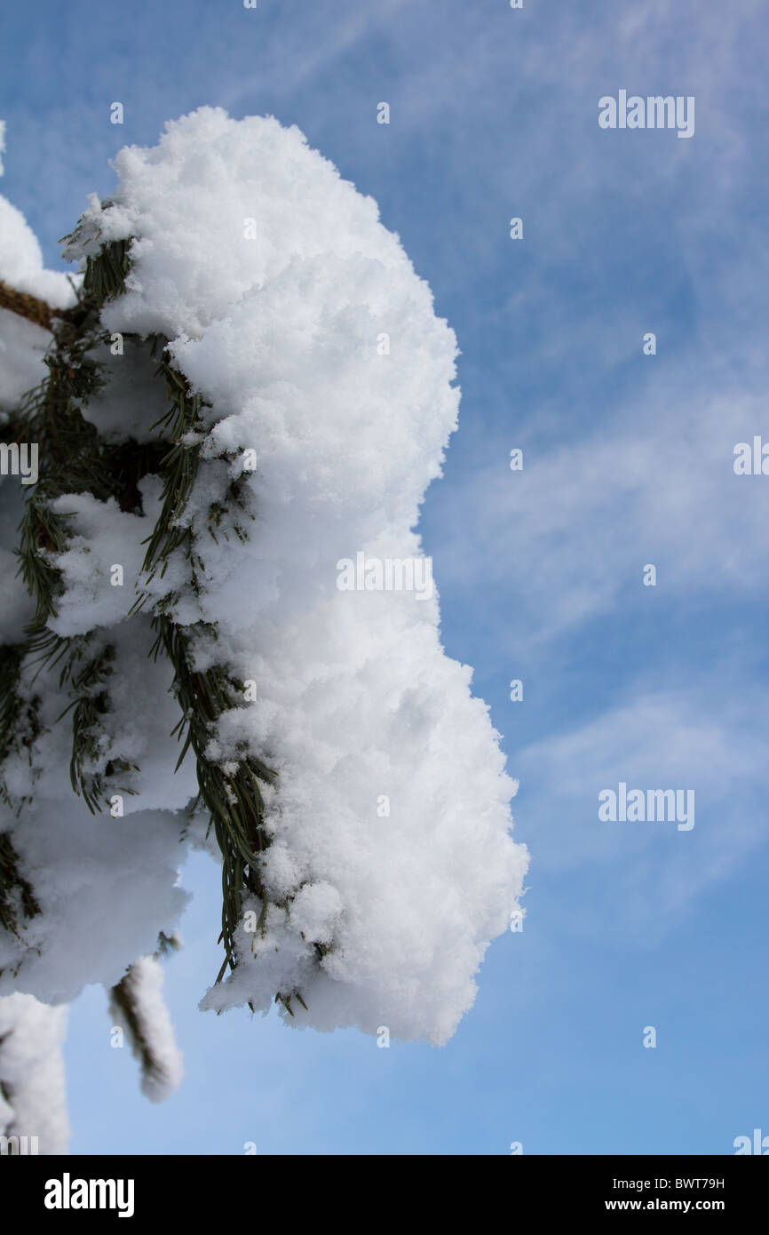 Picturesque winter scenic of thick covering of snow. Stock Photo