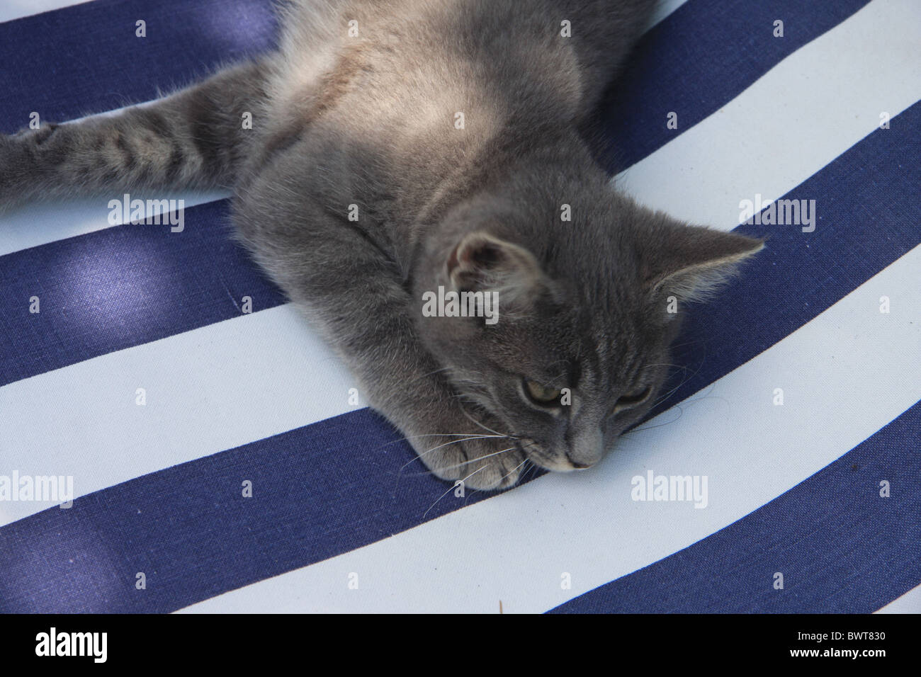 10845338 hires stock photography and images Alamy