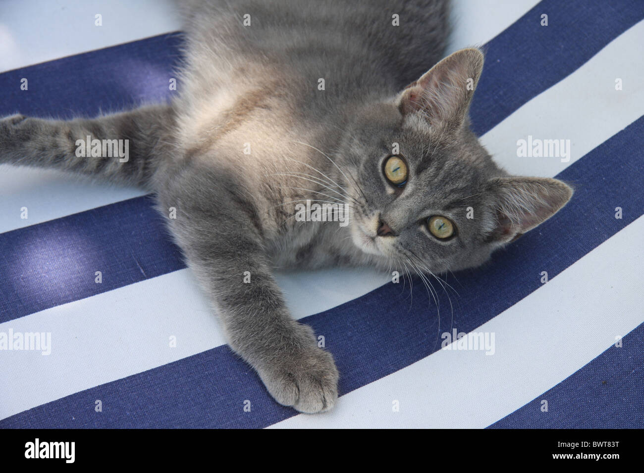 10845339 hires stock photography and images Alamy