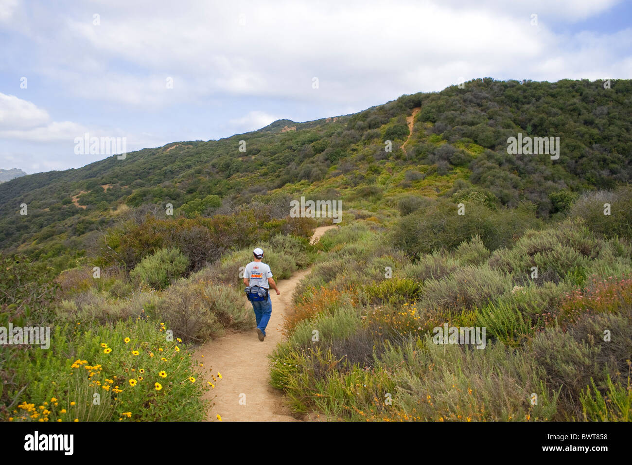 Hiking in Temescal Gateway Park, Pacific Palisades, Los Angeles