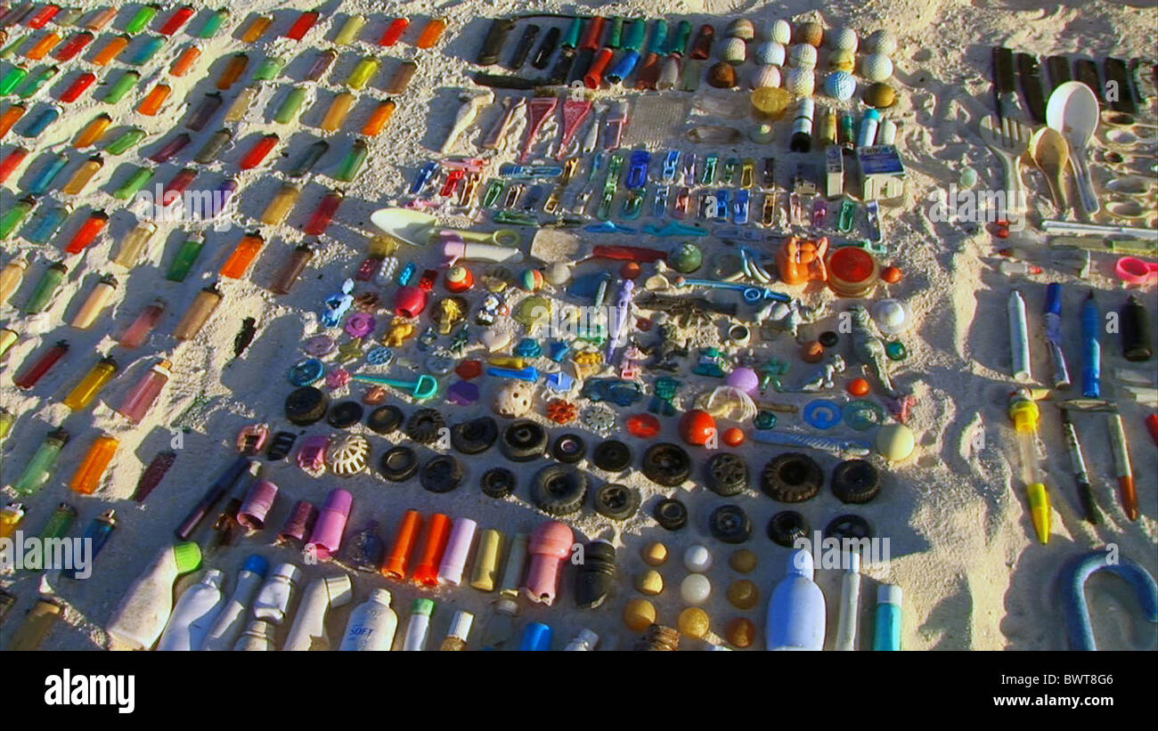 Laysan Albatross (Diomedea immutabilis) stomach contents, ingested plastic from dead birds, mistaken for food, Midway Atoll, Hawaiian Islands Stock Photo
