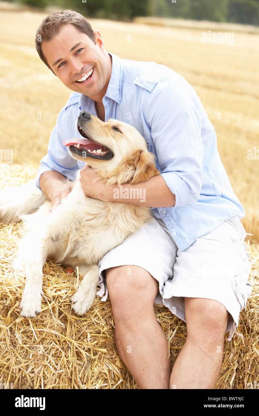 Man Sitting With Dog On Straw Bales In Harvested Field Stock Photo