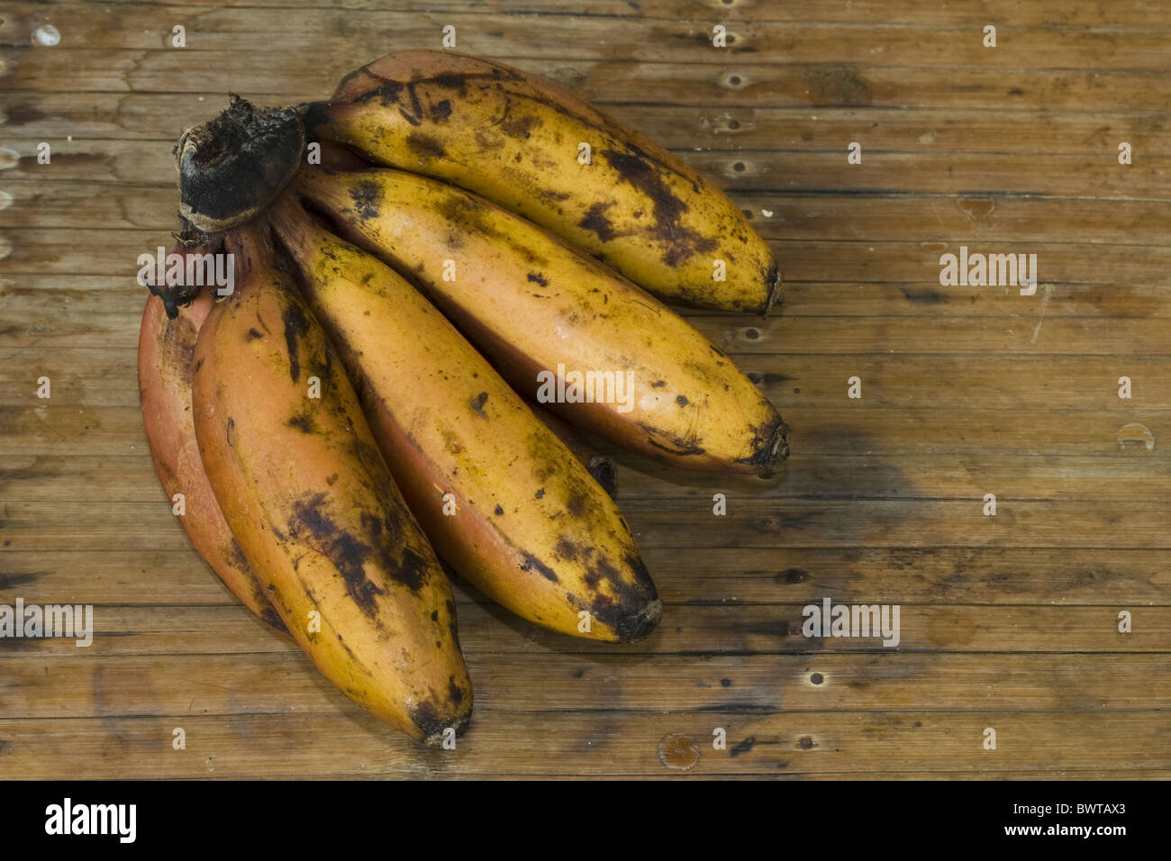 asia asian banana bananas crop crops edible fruit fruits musaceae