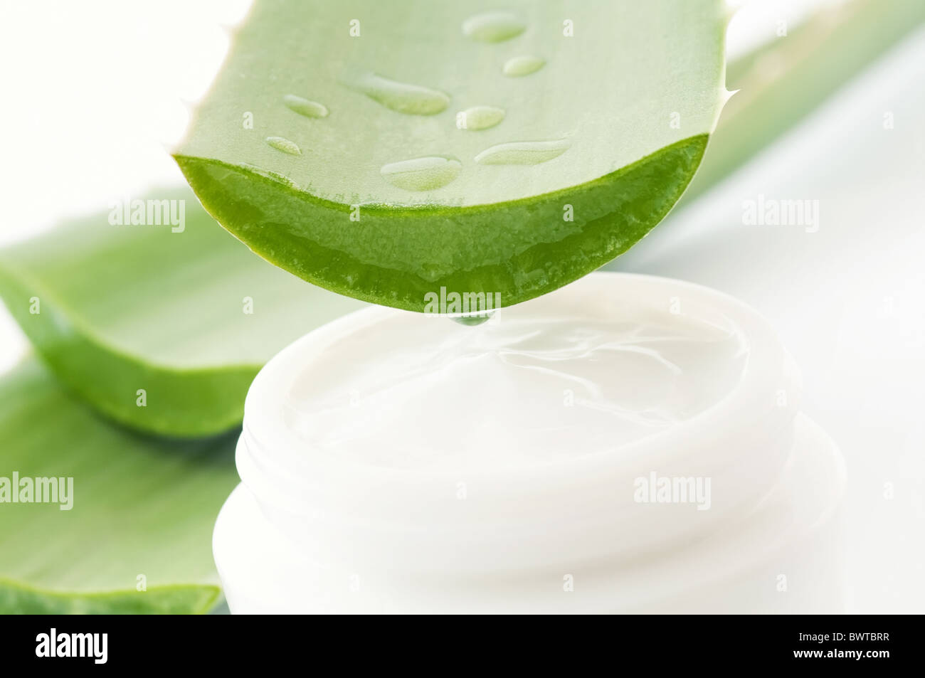 Где В Белоруси Можно Купить Масло Алоэ