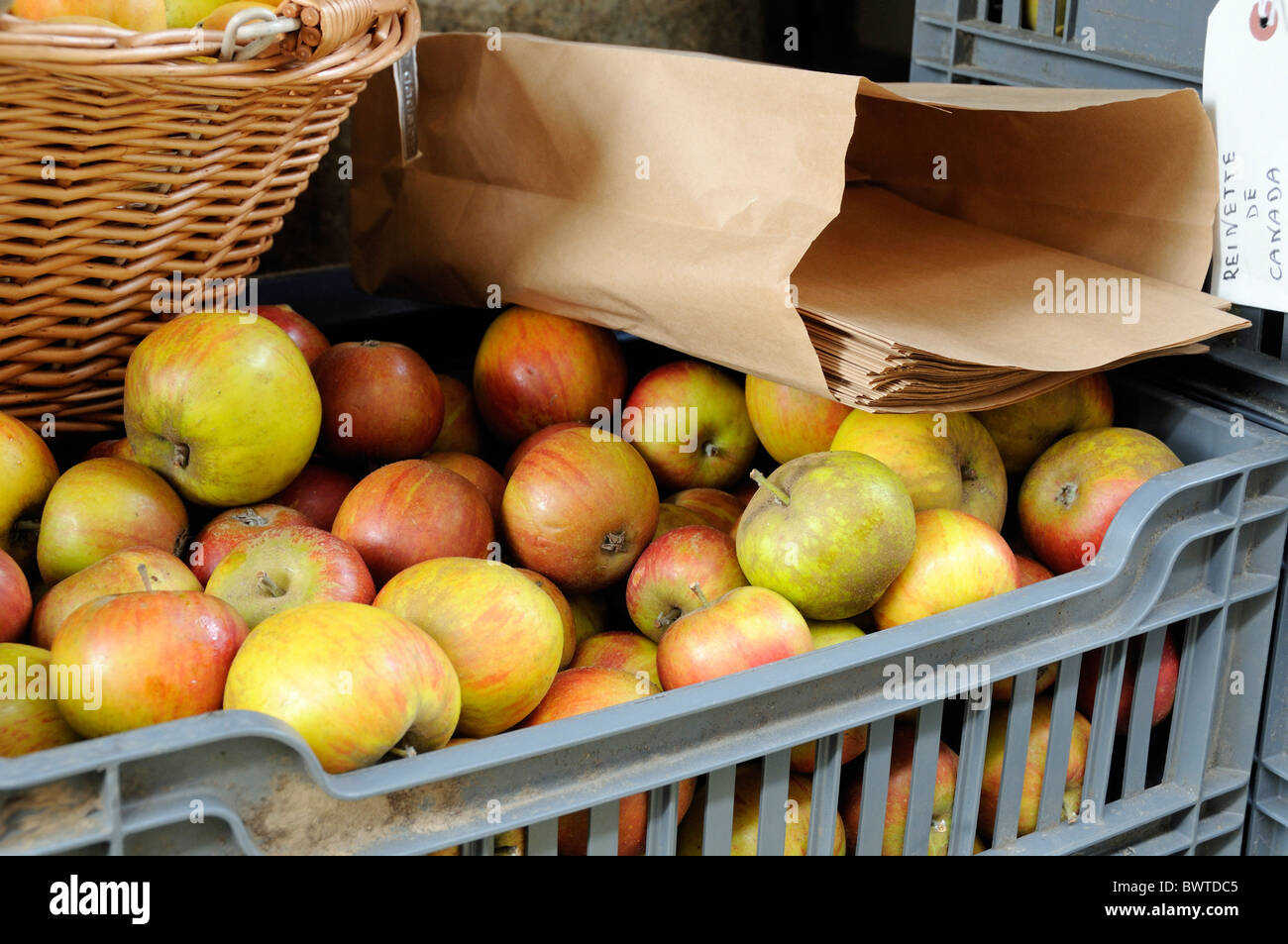 Cox apples with brown paper bags for sale in crate Stock Photo