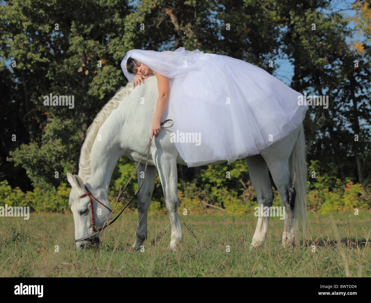 Bride In A Wedding Dress Posing With Horse Stock Photo 33114176