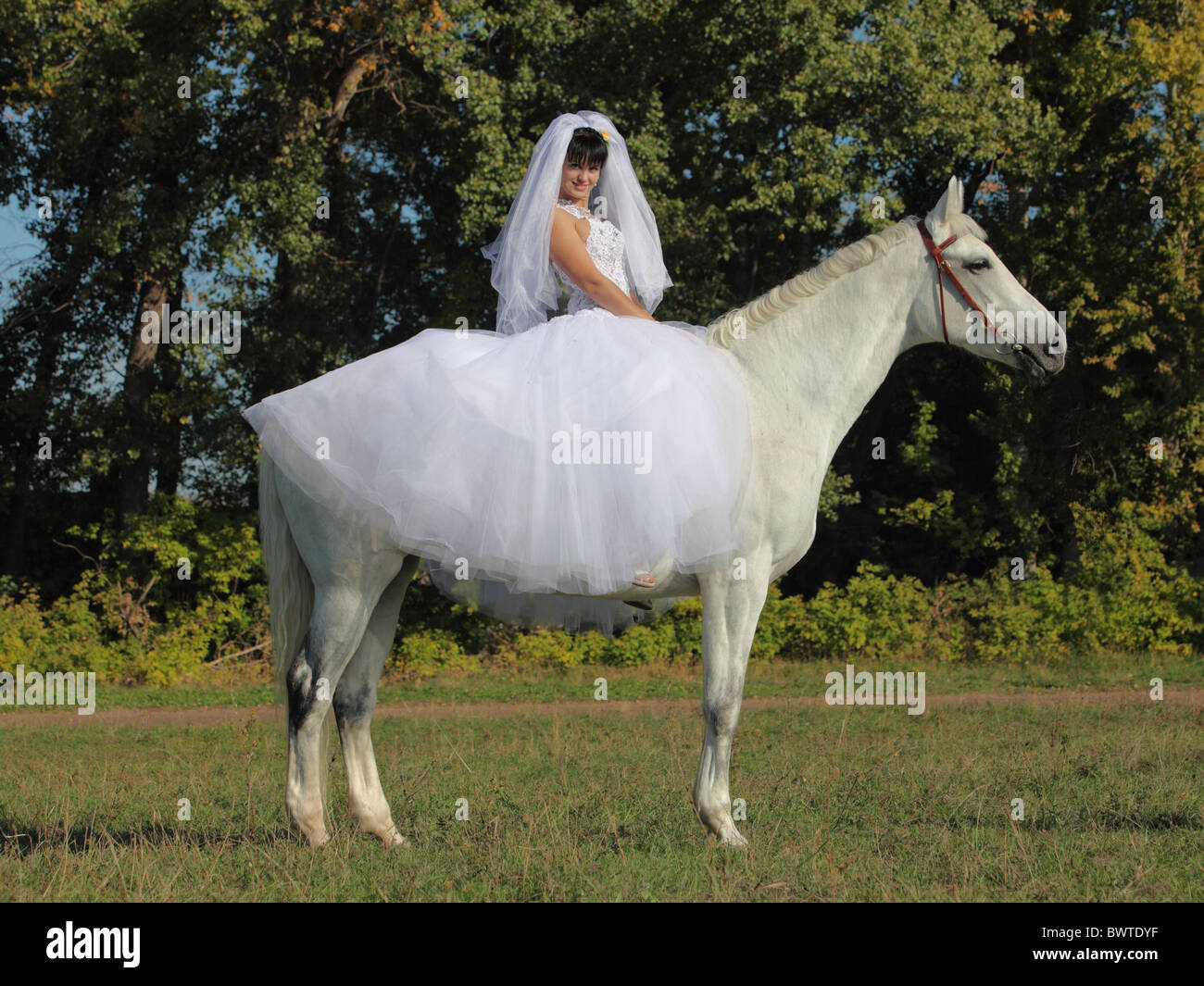Bride In A Wedding Dress Posing With Horse Stock Photo 33114579