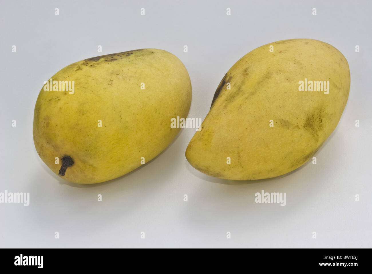 Ambu Mangot Mangue Manguier Keri Mangga Carabao Mango Mango Mangifera indica Common Fruit Fruits Sweet Ripe Tropical Tropic Stock Photo