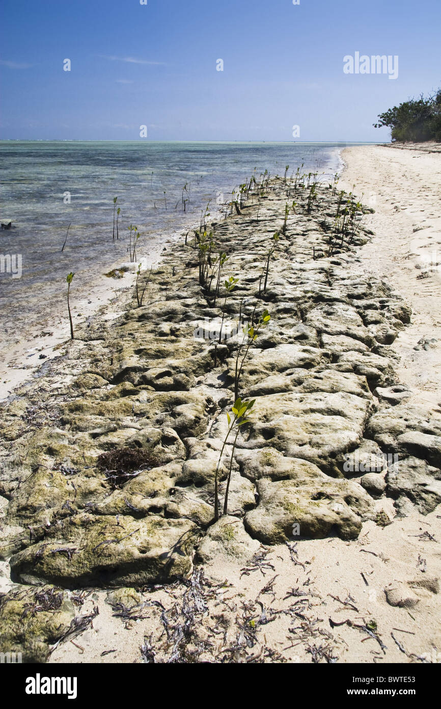 archipelago asia asian coast coastal coasts country habitat habitats