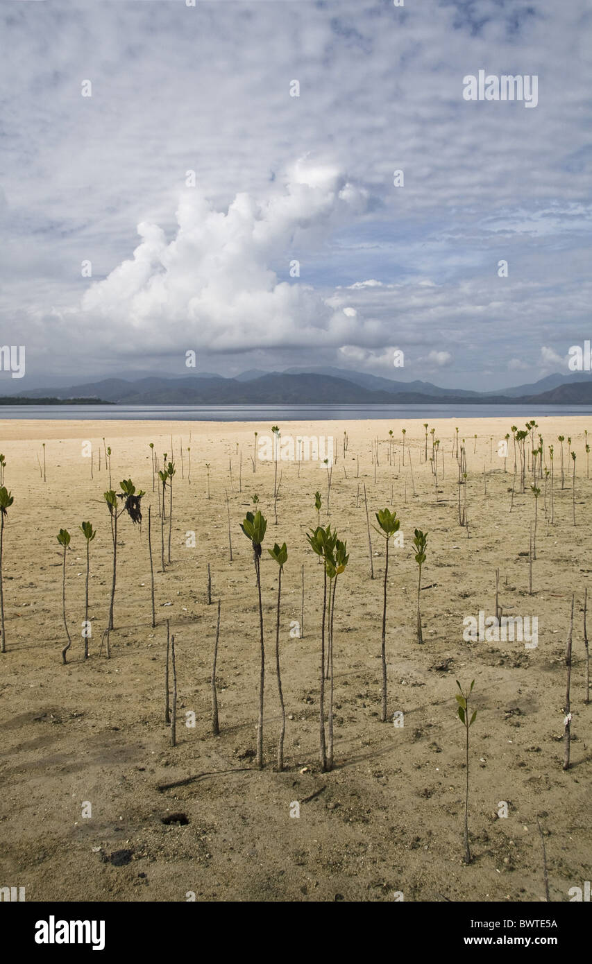 archipelago asia asian coast coastal coasts country habitat habitats