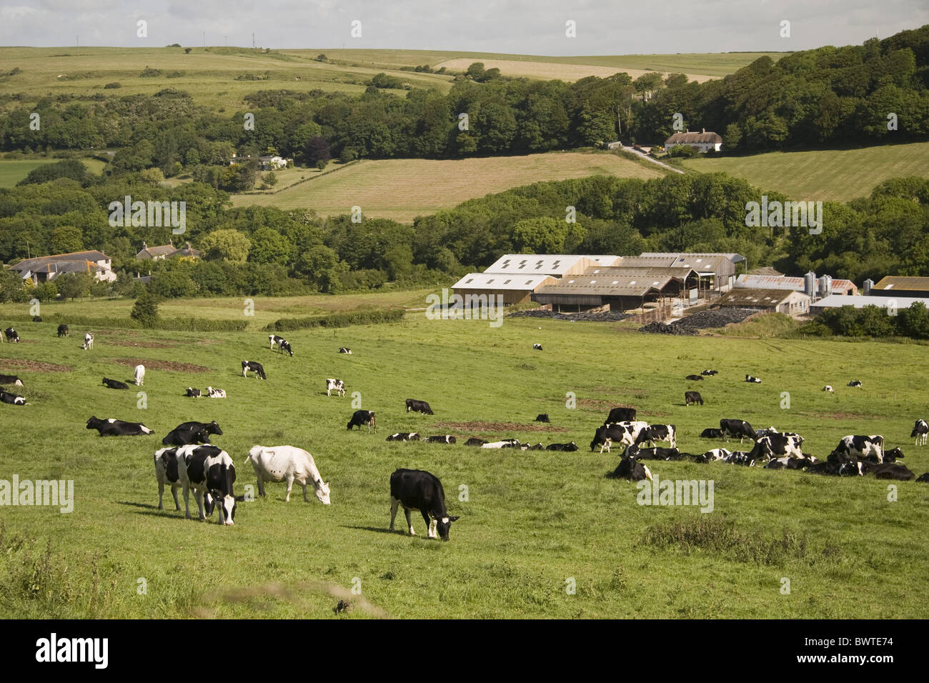 Diary farms hi res stock photography and images alamy