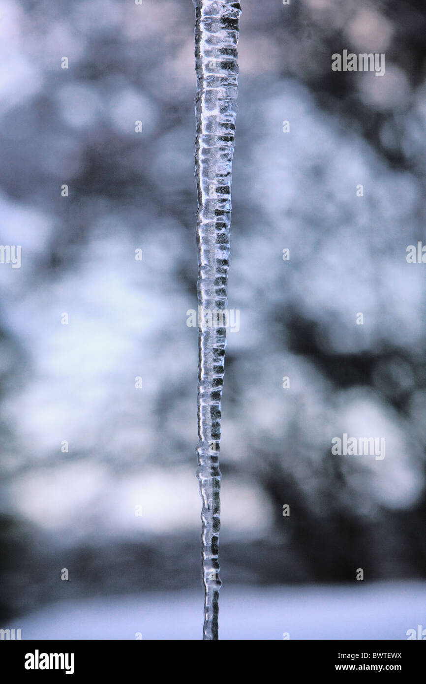 icicle Stock Photo