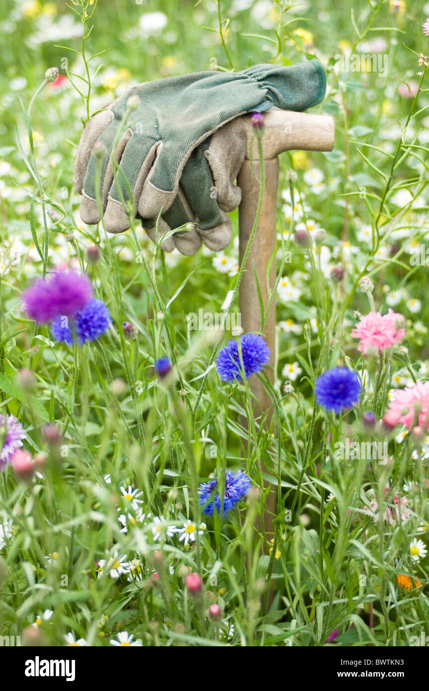 Work gloves in wild meadow Stock Photo