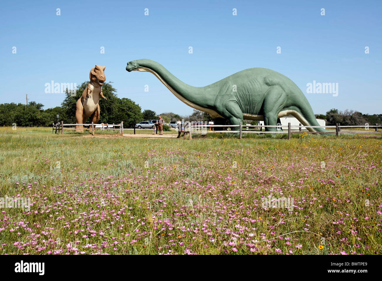 USA America United States North America Texas Glen Rose Dinosaur Valley State Park Apatosaurus Tyrannosaurus Stock Photo