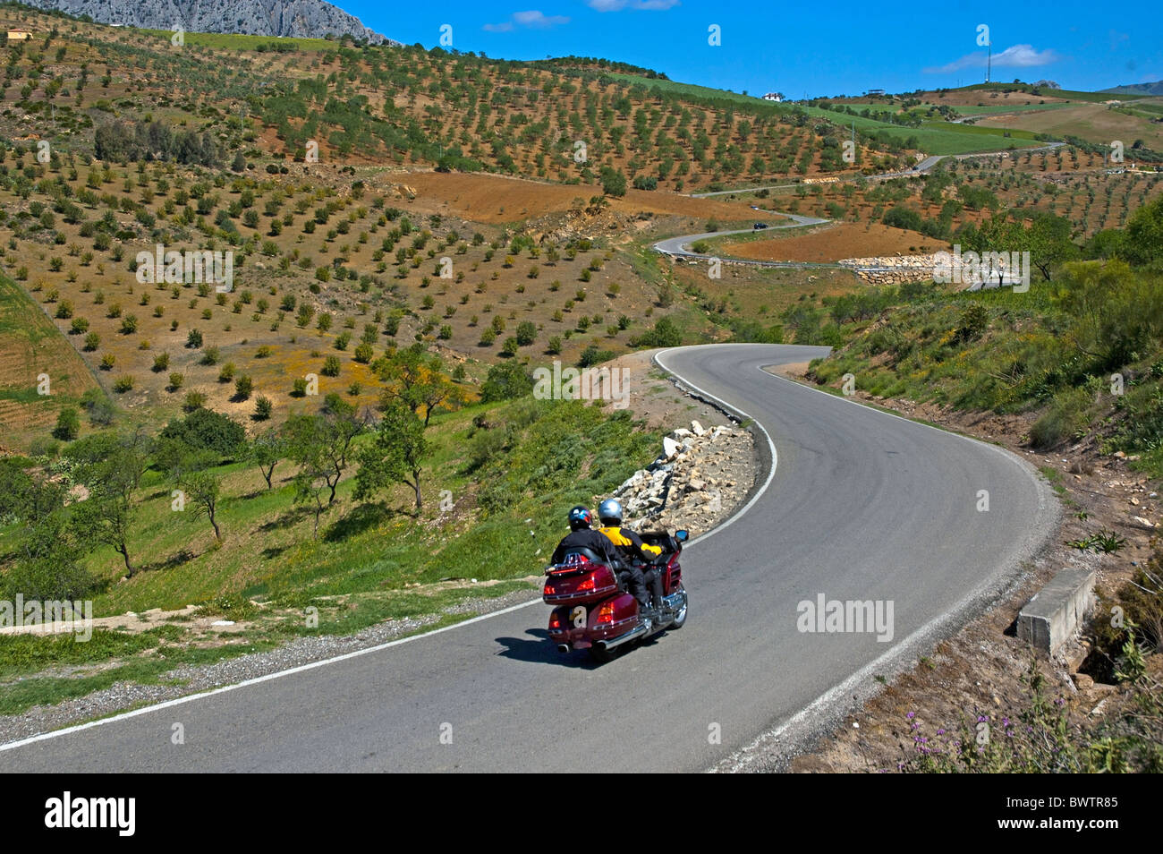Andalucia, Spain - Motorcycling through rural countryside full of olive trees between Alora and Antequera, Andalusia, Spain. Stock Photo