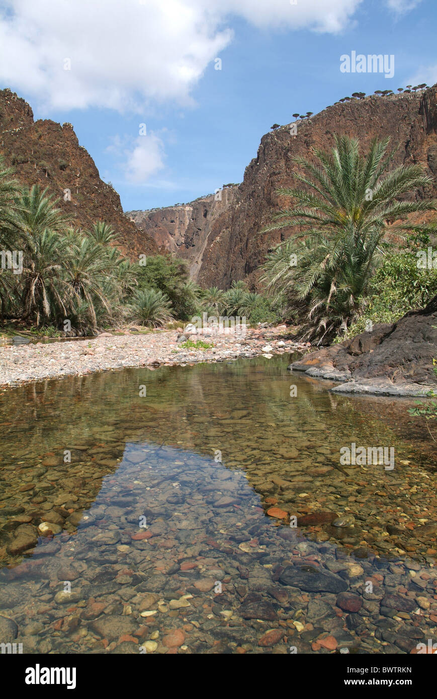 Yemen Socotra island Wadi Daerhu Arabic Arabian Arab travel UNESCO world natural heritage site Landscape sce Stock Photo