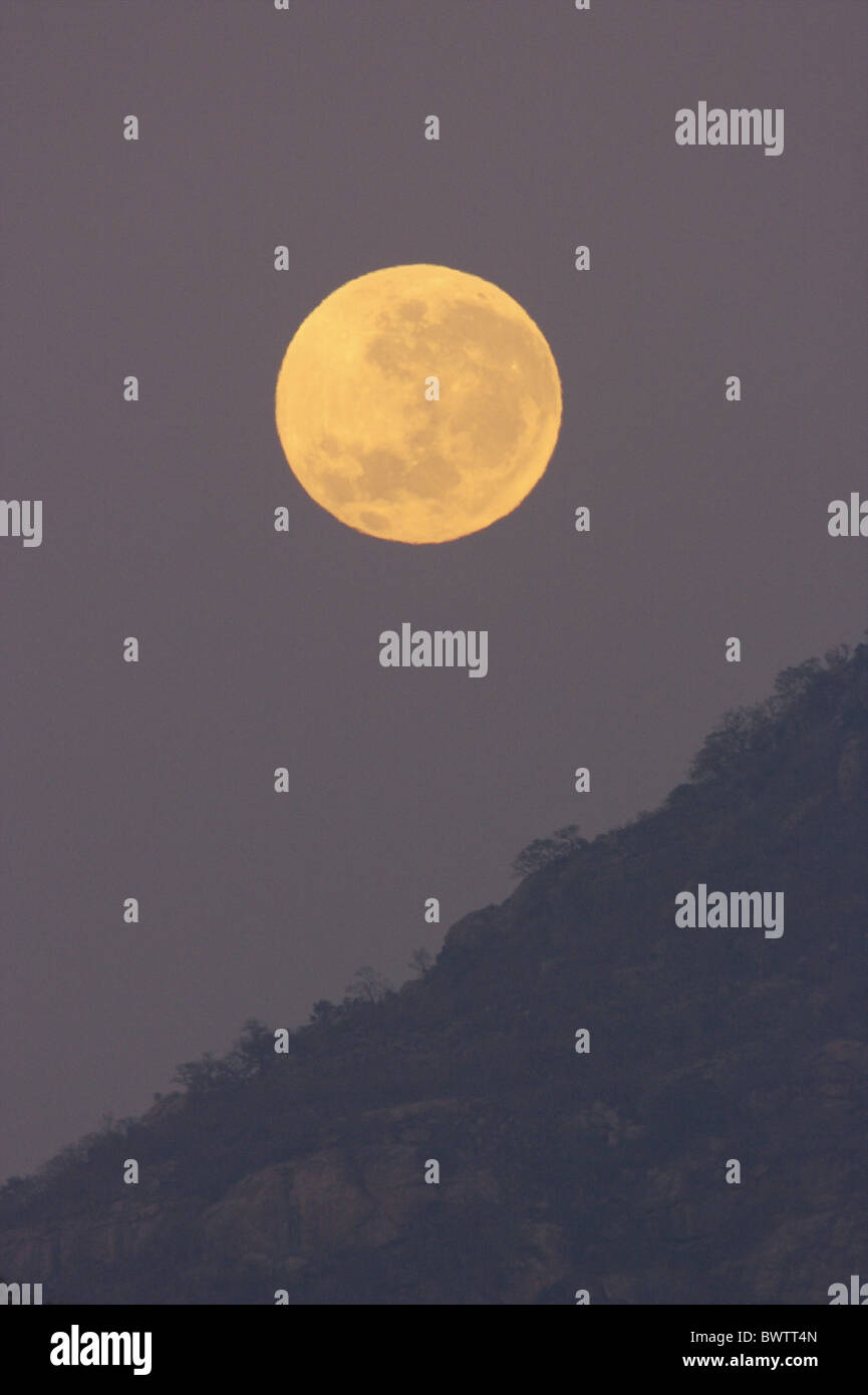 Full Moon rising over bush covered hill dawn Stock Photo