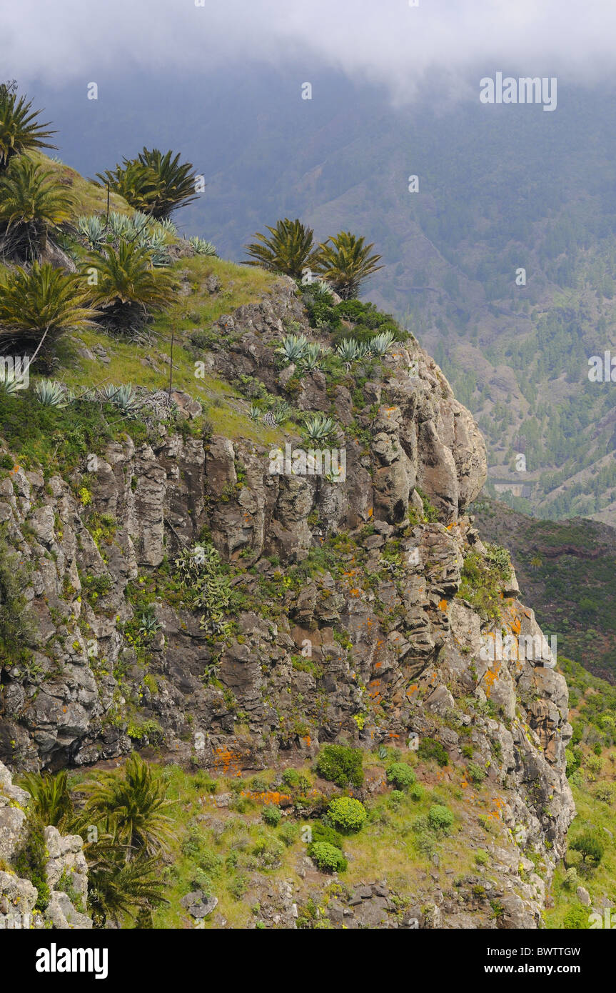la-gomera-landscape-canary-island-cliffs-canary-island-canary