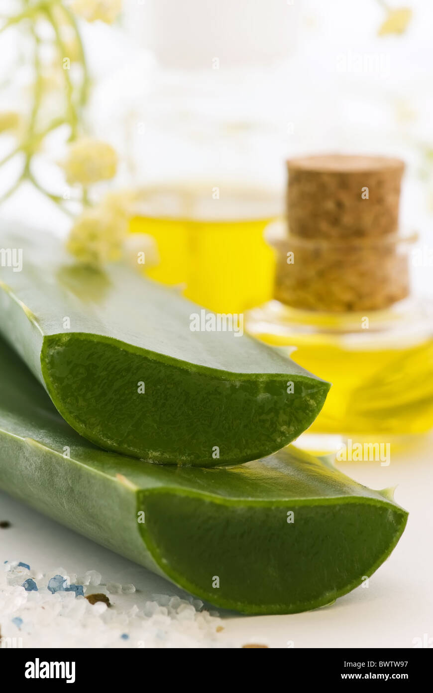 Aloe leaves with two flasks with oil as closeup on white background Stock Photo