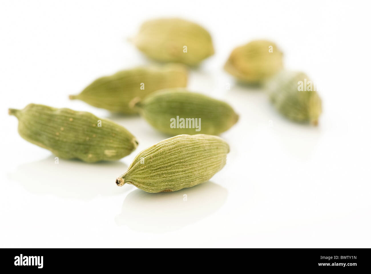 Green cardamom seed as closeup on white background Stock Photo Alamy