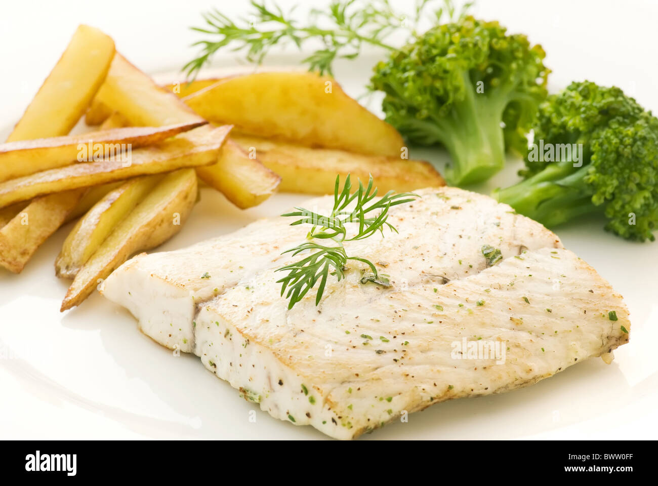 Barramundi hi-res stock photography and images - Alamy
