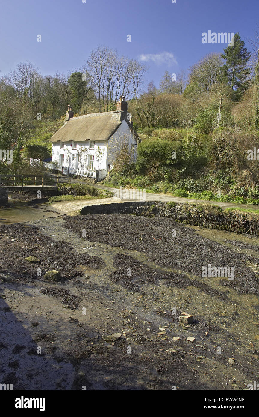 Thatched Cottage Gweek Village Tidal Helford River Rivers Seaweed