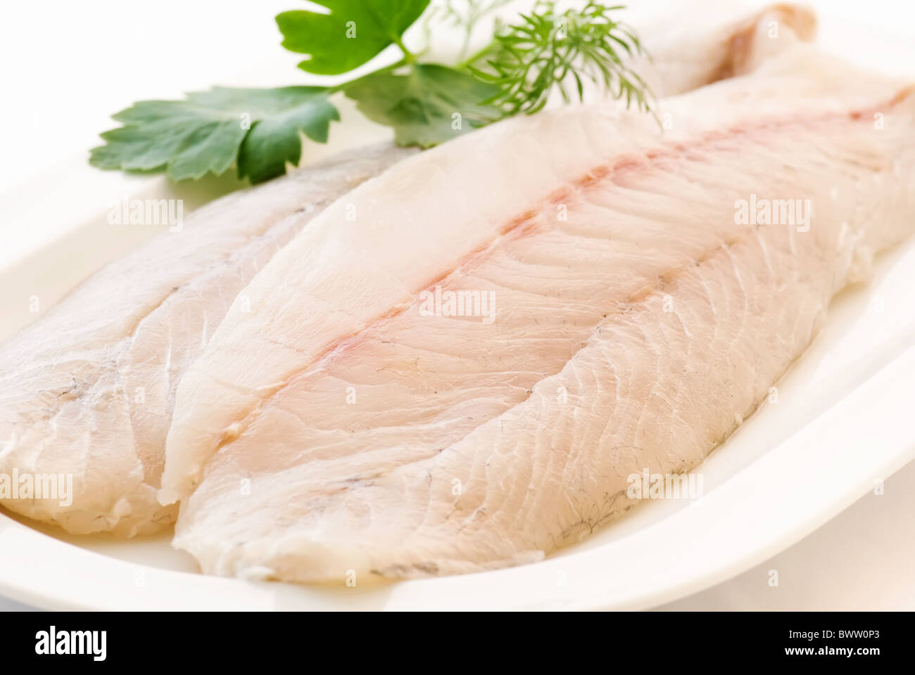 Raw pangasius filet with parsley as closeup on a white plate Stock Photo
