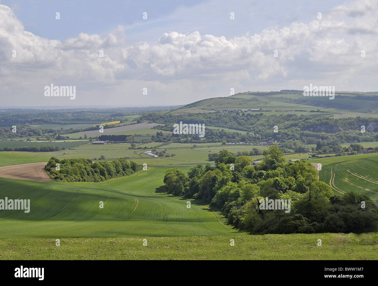 Bury Hill Stock Photos & Bury Hill Stock Images Alamy