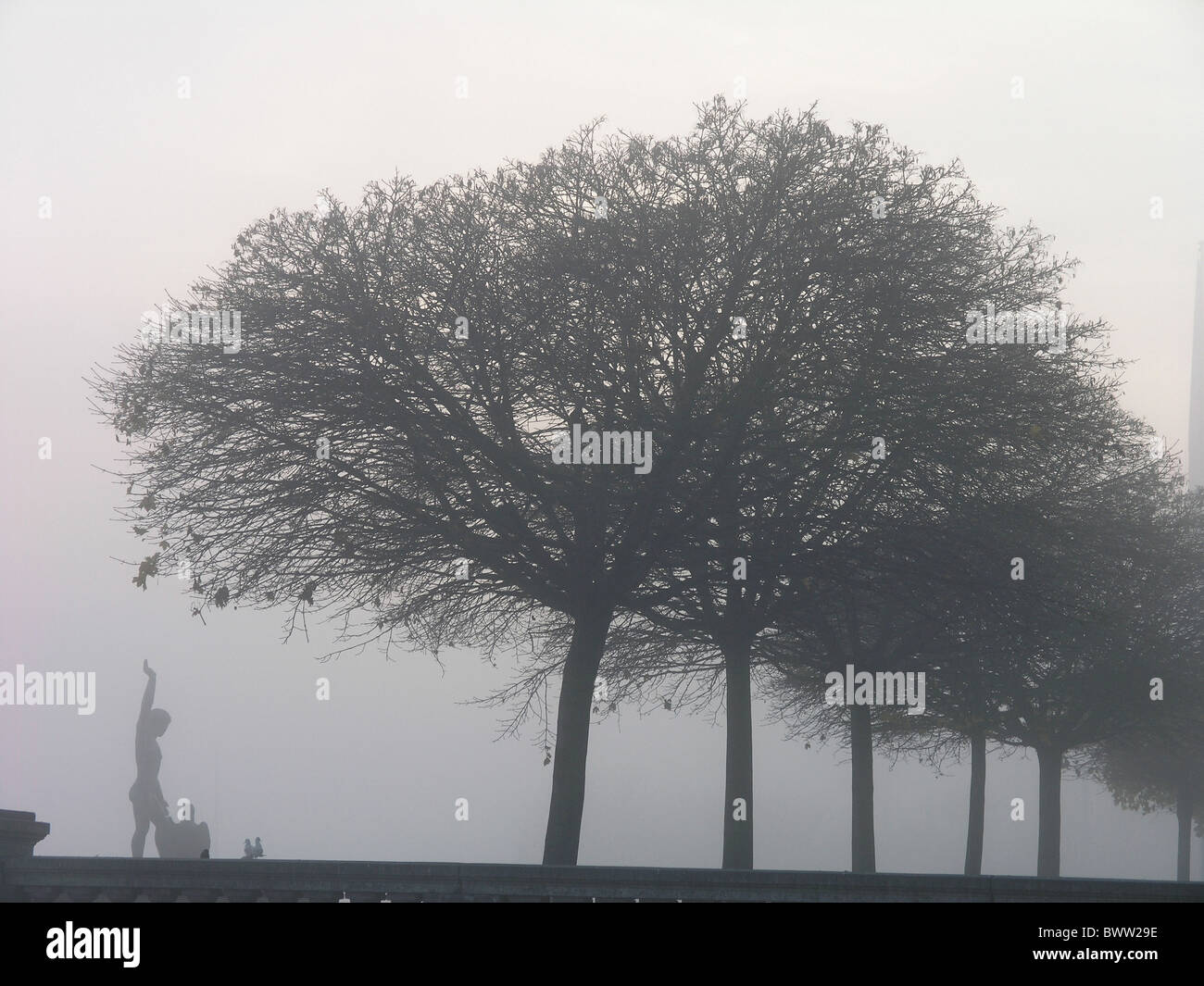 Switzerland Europe Zurich city town Zurich fog foggy Ganymed sculpture statue trees morning dawn grey gra Stock Photo