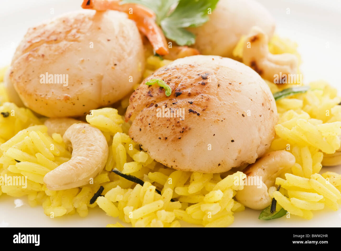 Roasted scallop with jasmine rice as closeup on a white plate Stock Photo