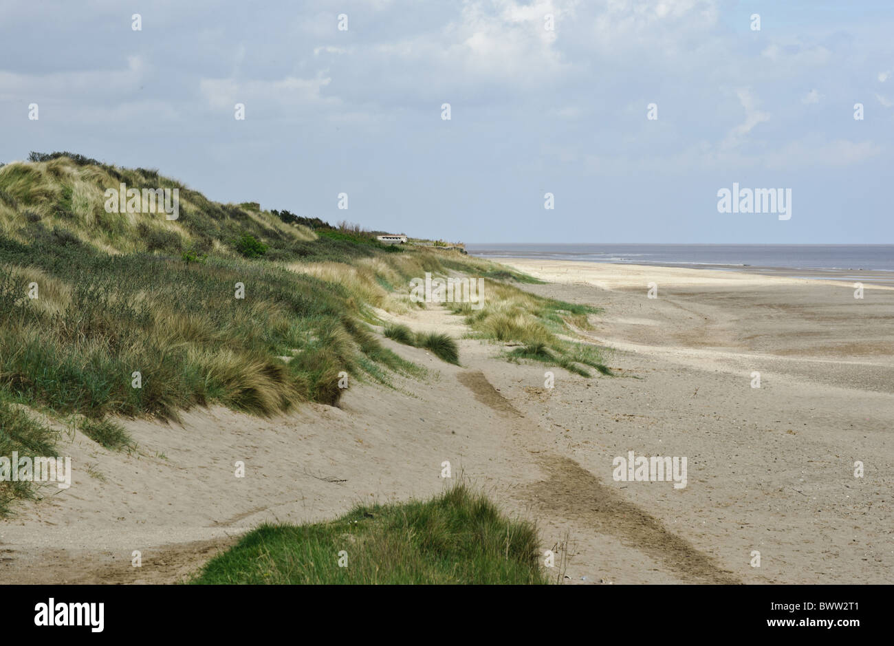 Chapel St Leonards Skegness beach coast dunes sand sand dunes britain