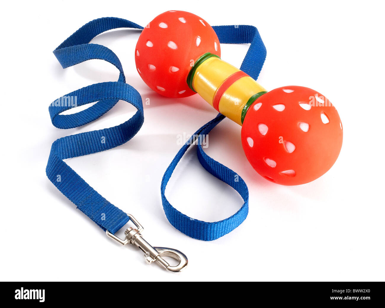 Blue dog lead and squeaky toy on white background Stock Photo Alamy