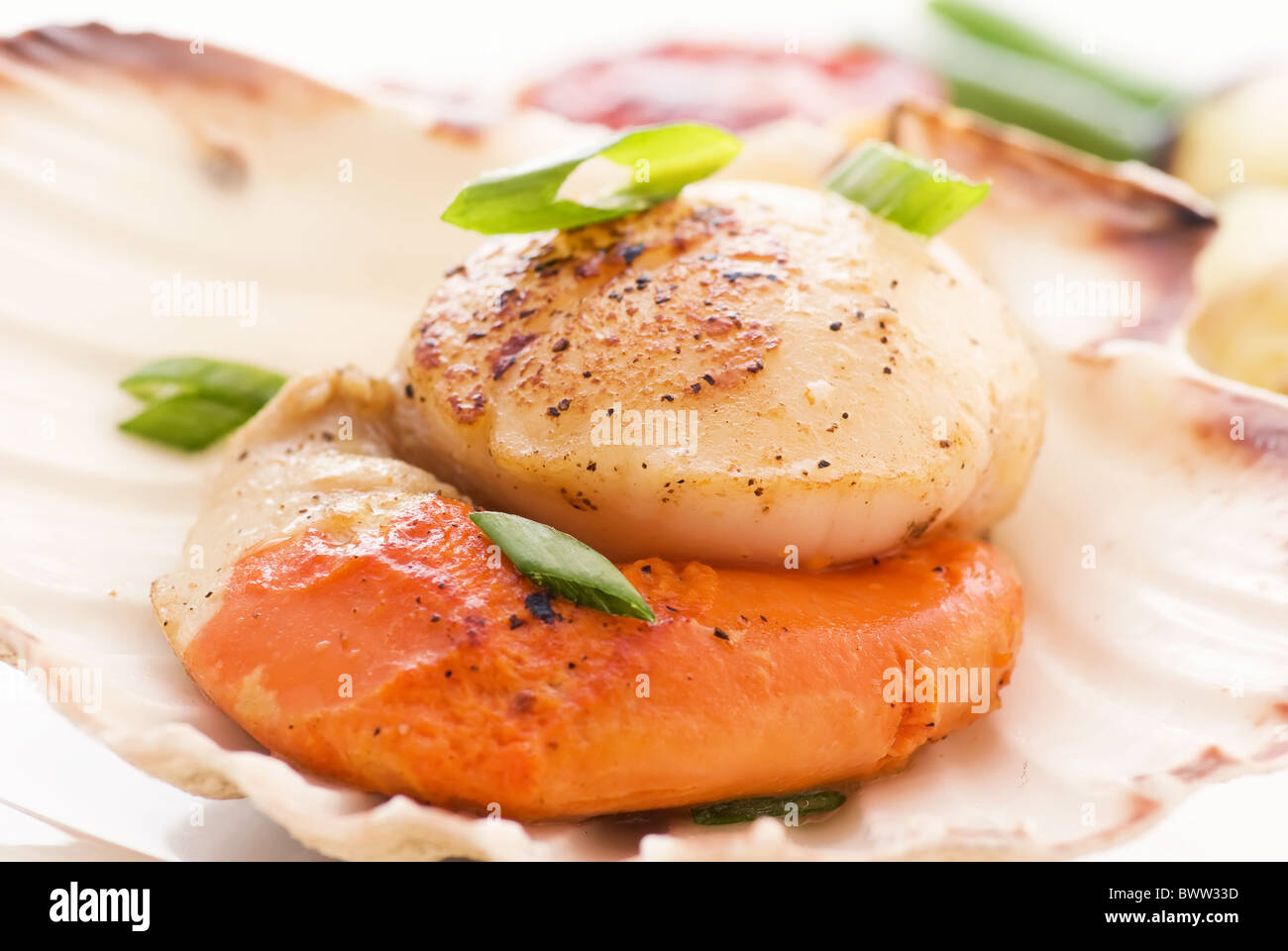 Roasted scallop mussels in a shell with vegetable as closeup on white background Stock Photo