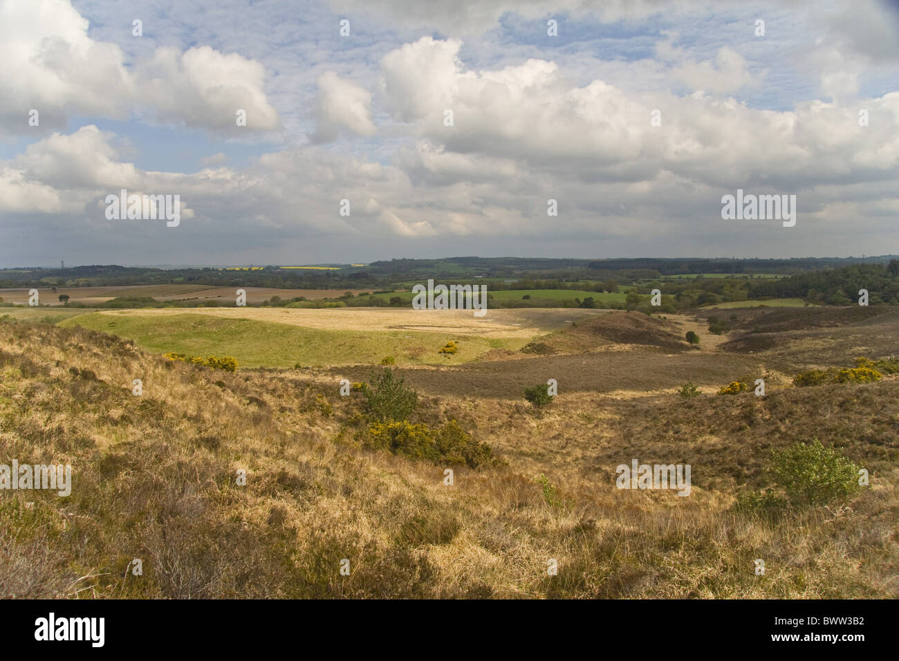britain british england english europe european habitat habitats heath