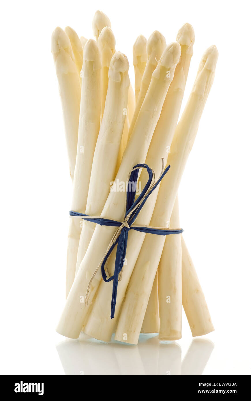 Bunch of white asparagus as closeup on white background Stock Photo