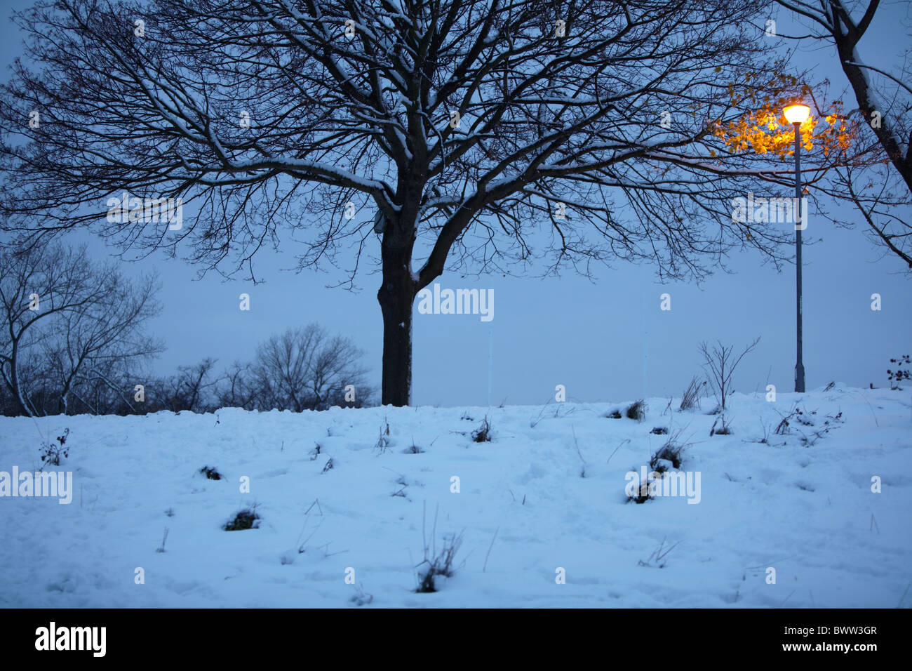 A single orange street light on a snowy plumstead common with blue twighlight Stock Photo