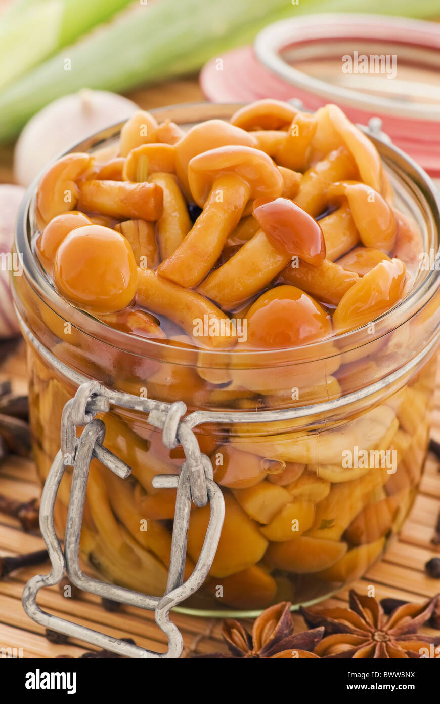 Pickled honey fungus as closeup in a preserving jar Stock Photo