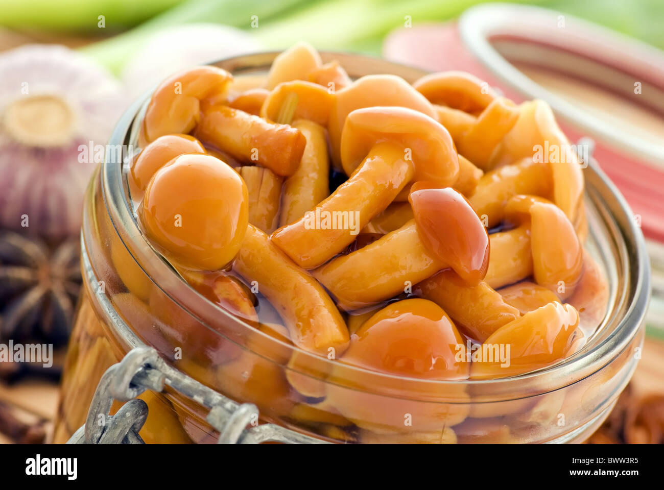 Pickled honey fungus as closeup in a preserving jar Stock Photo Alamy