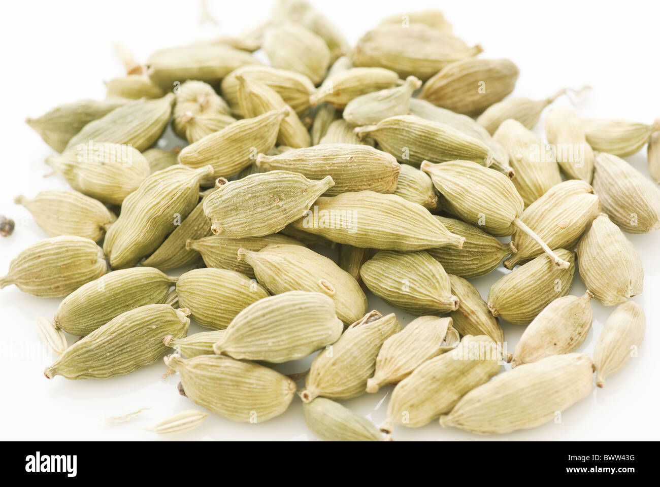 Green cardamom seed as closeup on white background Stock Photo Alamy