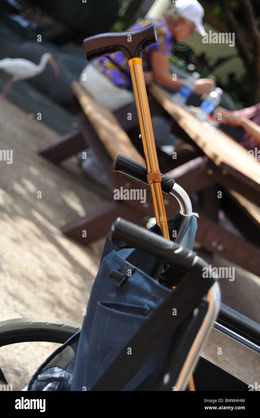 Walking stick and Wheelchair Stock Photo Alamy