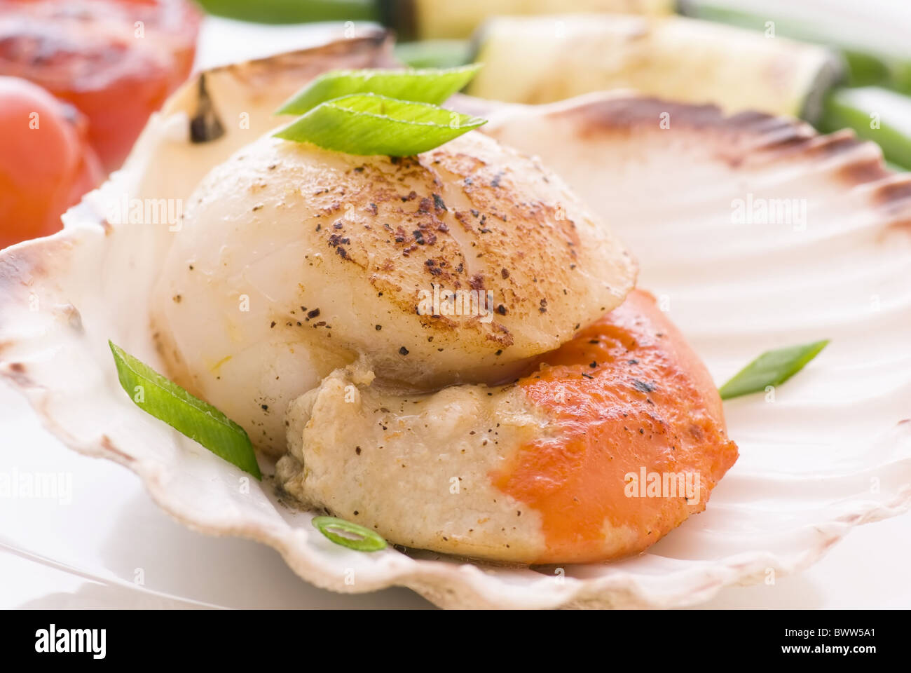 Roasted scallop mussels in a shell with vegetable as closeup on white background Stock Photo