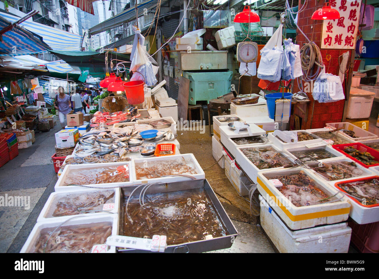 Gage Street Market in Hong Kong city, fresh produce include meat, fish, poultry. smelly and scary all in one go Stock Photo