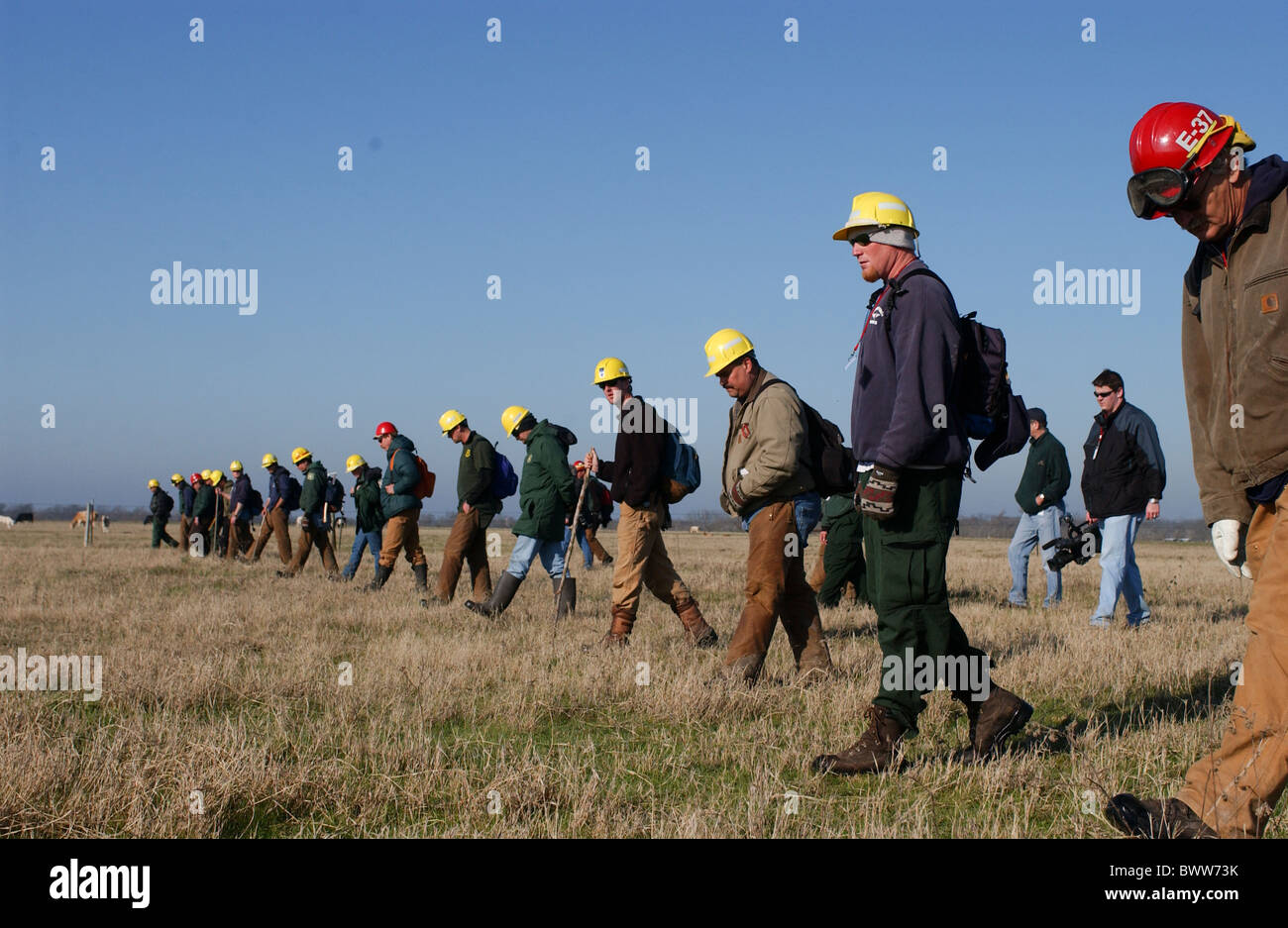 Members of firefighting teams walk shoulder-to-shoulder through an East Texas field searching for space shuttle Columbia debris Stock Photo