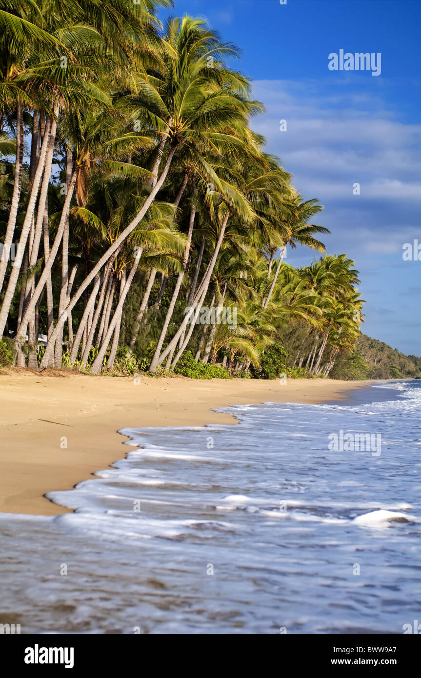 Tropisch tropical hi-res stock photography and images - Alamy