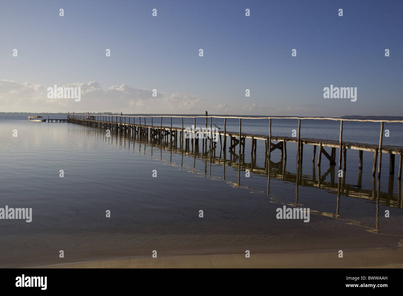 Dug out canoe beach Bush House looking towards Stock Photo Alamy