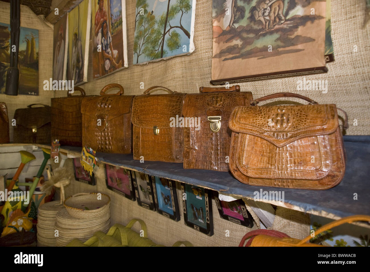 Crocodile bags hi-res stock photography and images - Alamy