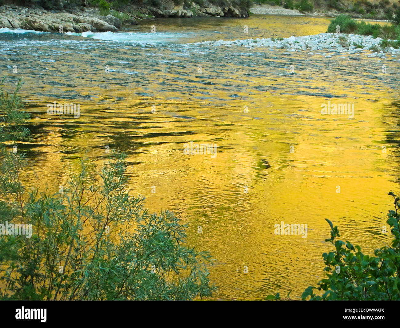 Idaho Panhandle National Forests Home